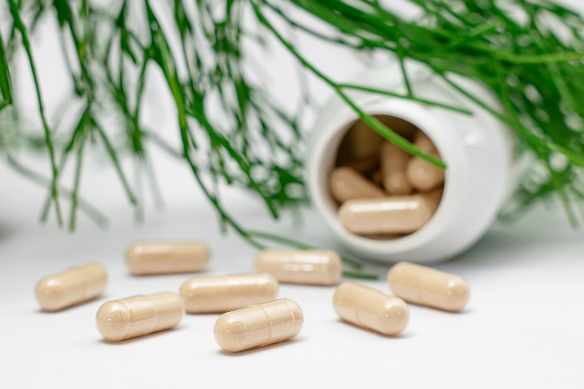 Supplement guide